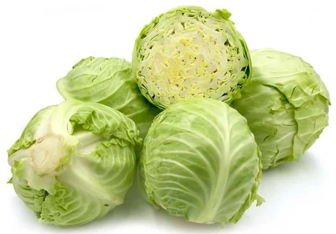 Bắp cải - Cây rau, cây thuốc